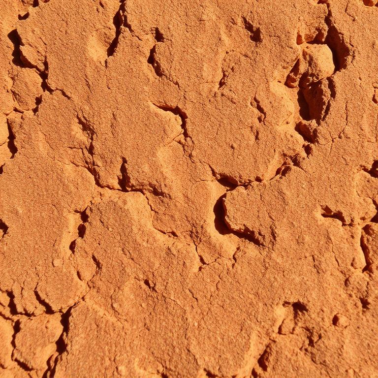 Before — Skin texture transformation